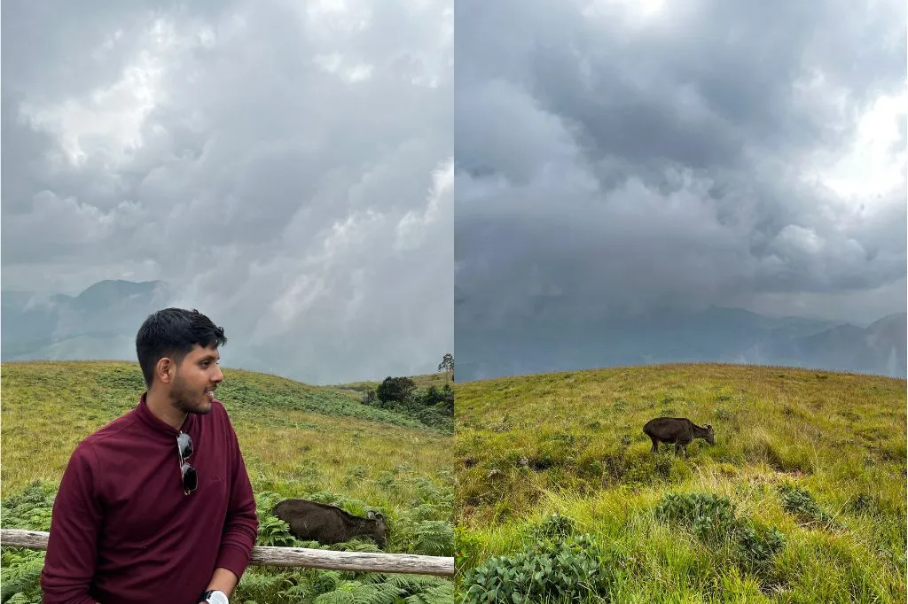 Harsh in Maroon T-shirt visited Eravikulam National Park to see Nilgiri Thar in Kerala tour.