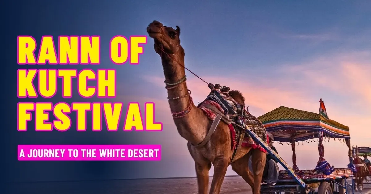 Rann of Kutch Festival The Travel Mystery